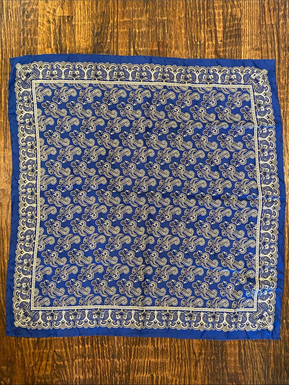 Pineda Covalin Mexico Blue & Cream Print Silk Scarf / Wrap